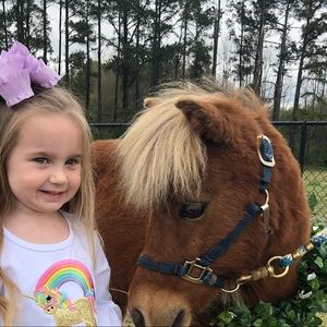 Meet your Posher, Lindsey